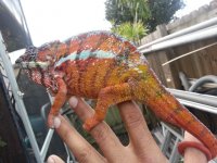 20130322_190133.jpg