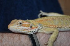 IMG_8361.jpg