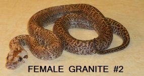 FEMALEGRANITE2.jpg
