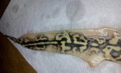 20130912_160359.jpg