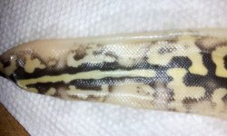 20130912_160427.jpg