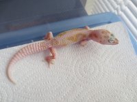 IMG_0189.jpg
