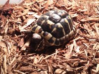 20131006_161049.jpg