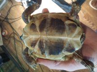 20131006_170315.jpg