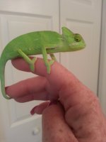 20131027_165252.jpg