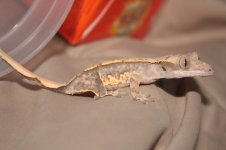 IMG_4752.jpg