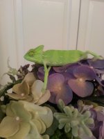 20131027_165140.jpg