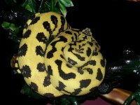 2013011795160516.jpg