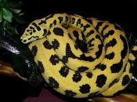 2013050795201528.jpg