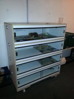 cage 2.jpg
