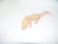2013 babies 006.jpg