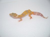 2013 babies 024.jpg