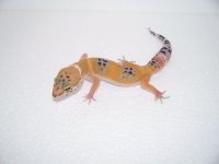 2013 babies 033.jpg