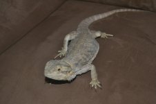 DSC_0063.jpg