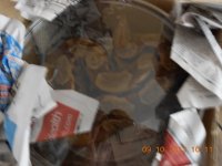 DSCN1102.jpg