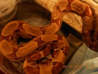 DSCN1105.jpg