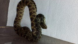 20130914_193337.jpg