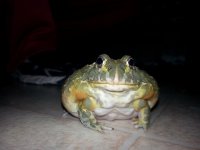 20130916_204303.jpg