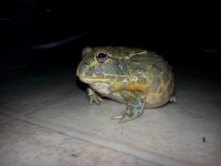 20130916_204255.jpg