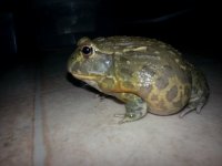 20130916_204247.jpg
