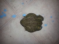 20130916_204235.jpg