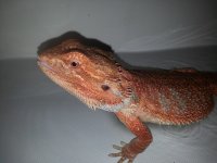 20131116_170131.jpg