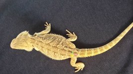 20131114_121548.jpg