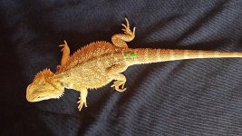 20131114_122115.jpg