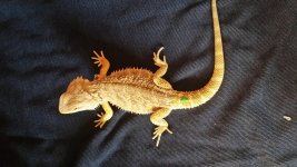 20131114_122255.jpg