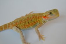 IMG_1269.jpg