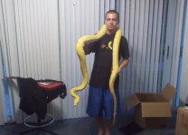snake4.jpg
