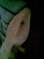 Phone Pics 058.jpg