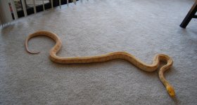10 02 04 006.jpg