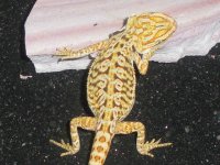 Picture 188.jpg