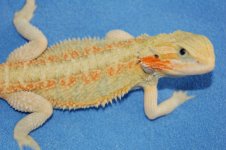 DSC_1410.jpg