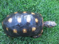 IMG_1626.jpg