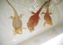 bath time!.jpg