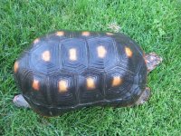 IMG_1631.jpg