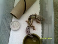 Johns Exotics 009.jpg