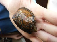 20130923_162044.jpg