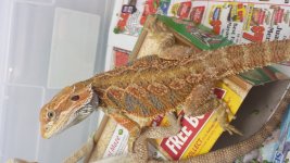 20130929_170522.jpg