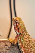DSC_0016.jpg