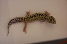 IMG_8893.jpg