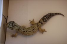 IMG_8894.jpg
