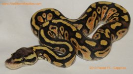 Copy (1) of Pastel F5 - Sapphire 002tt.jpg