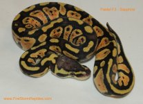 Copy (1) of Pastel F3 - Sapphire 004tt.jpg
