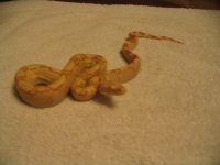 IMG_0019.jpg