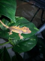 20131022_212304.jpg