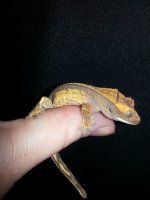 20131022_212325.jpg