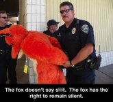 Fox arrest.jpg